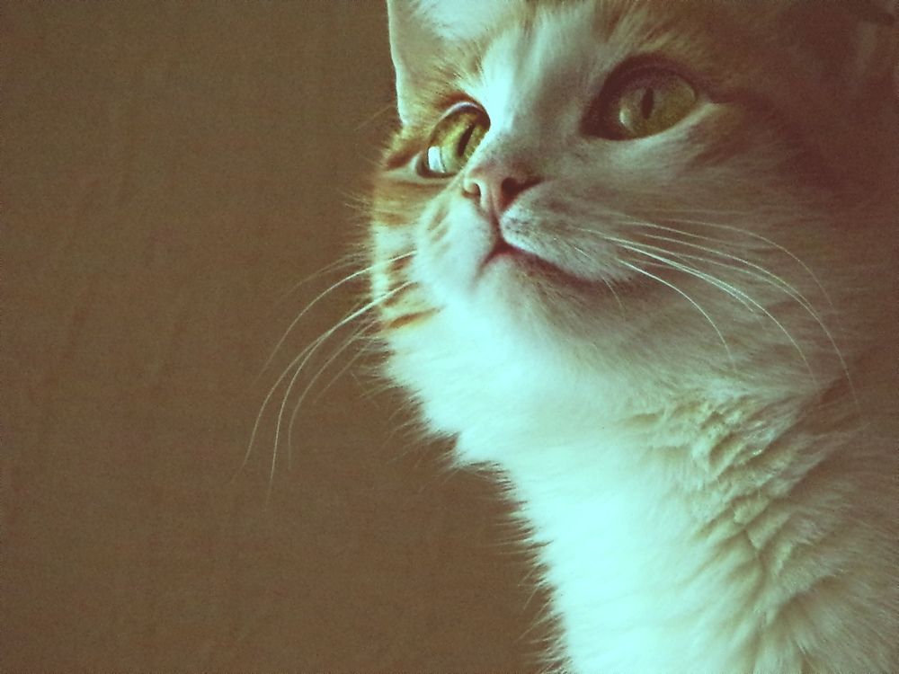 Photograph by Анна Аверьянова