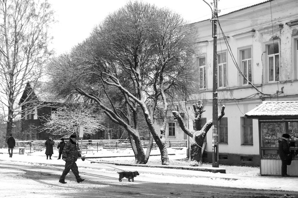 Зимние будни