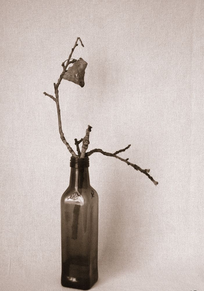 Зимнее настроение