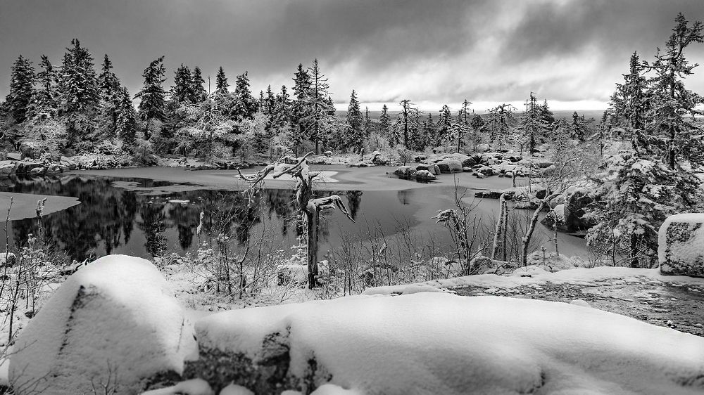 Первый Снег. / First Snow.