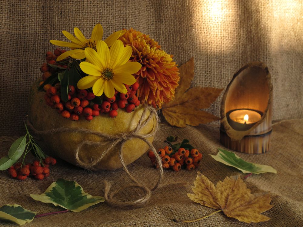 Fall