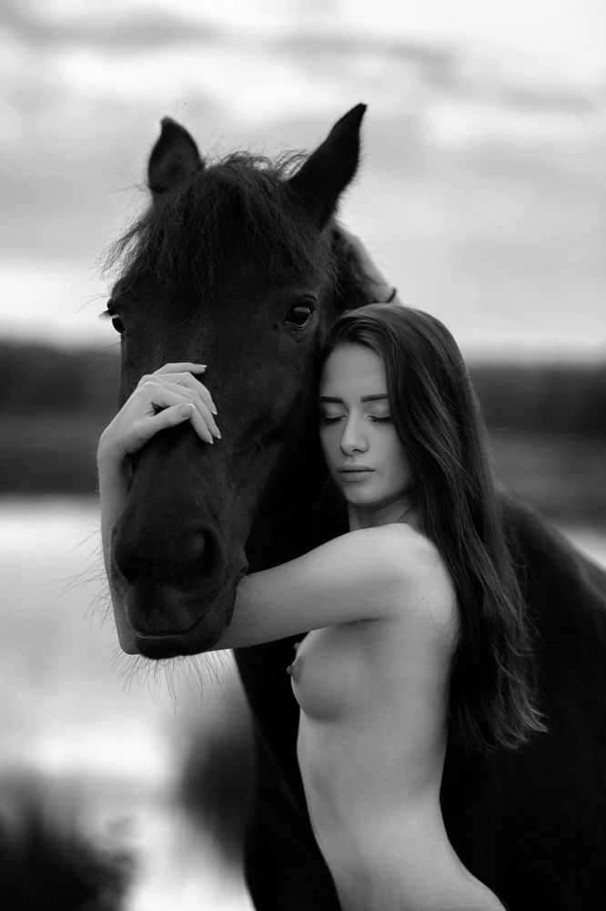 Утро в деревне