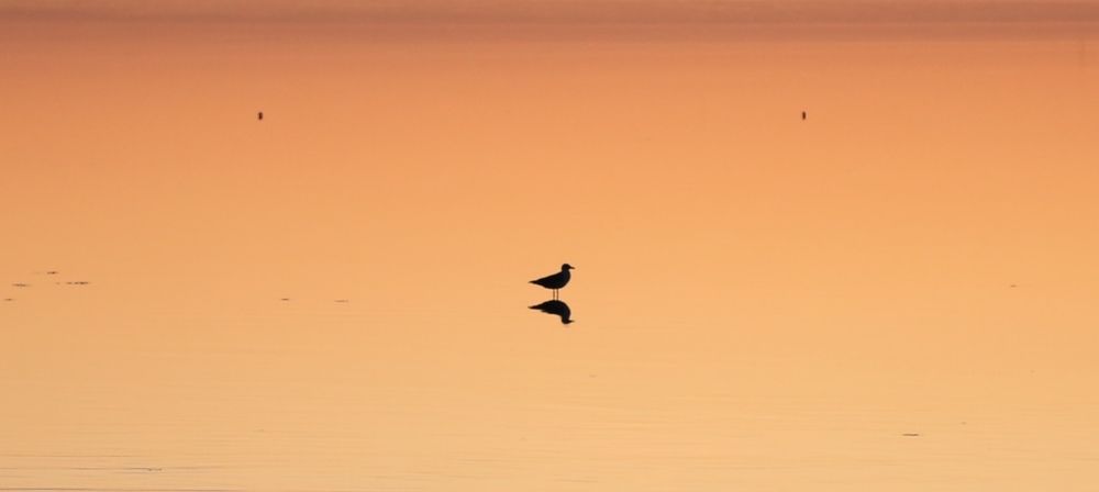 Photograph by Anatolijs Oņiščenko