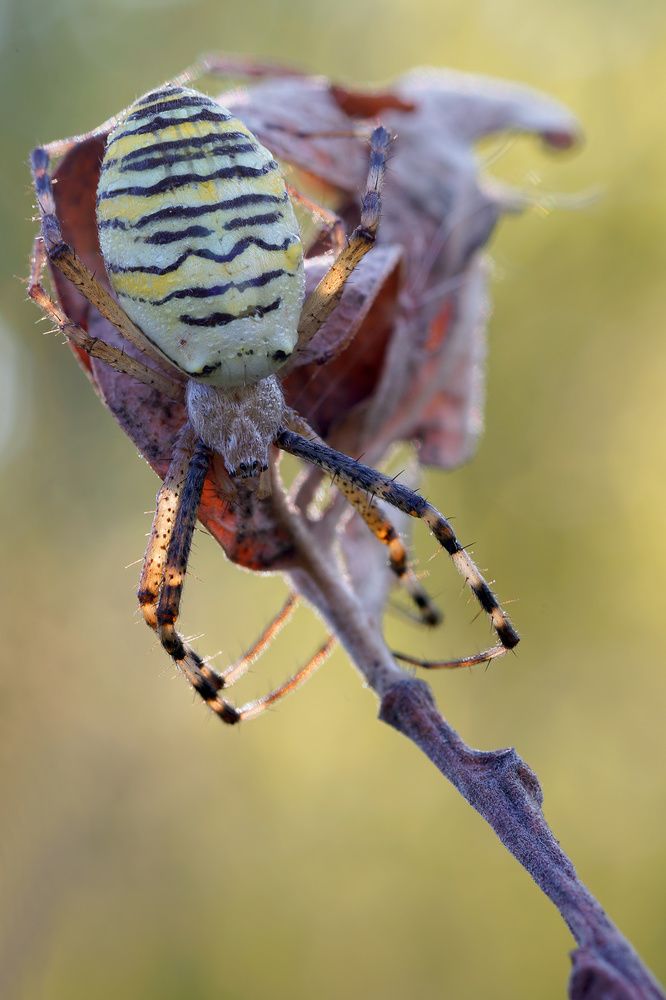 Photograph by Кузнецов Дмитрий