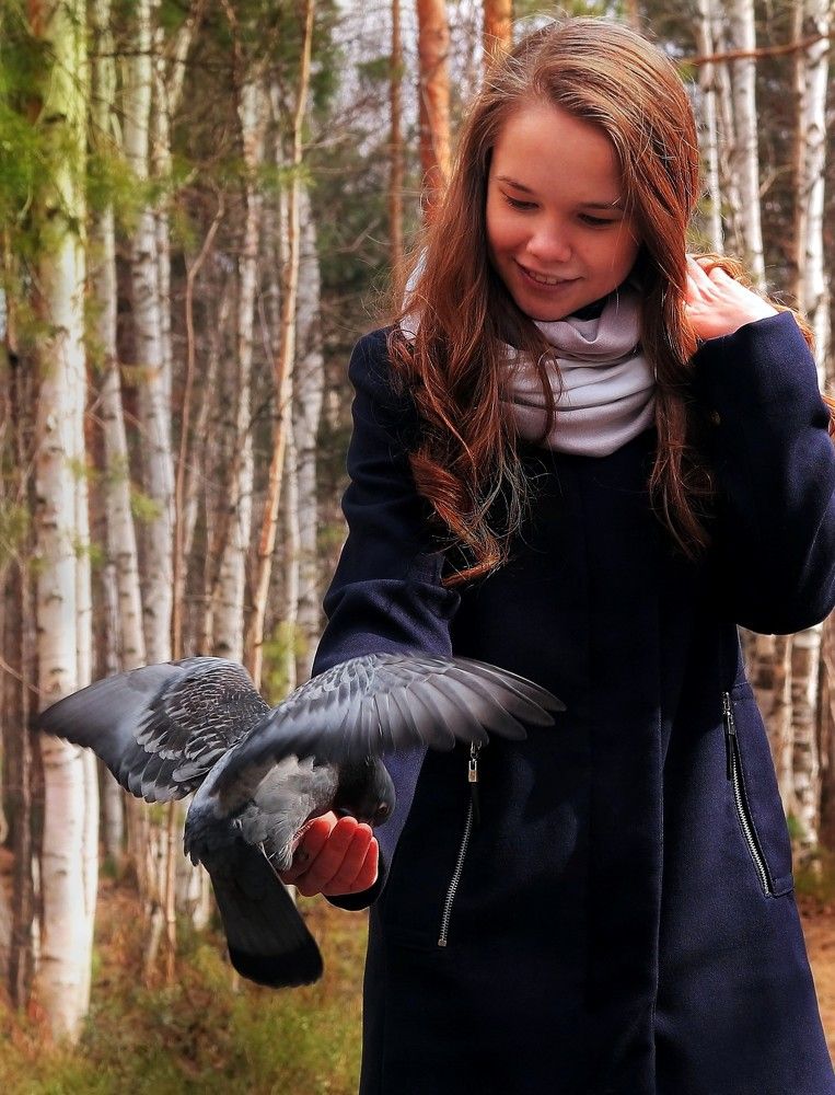 Голубки - голубки