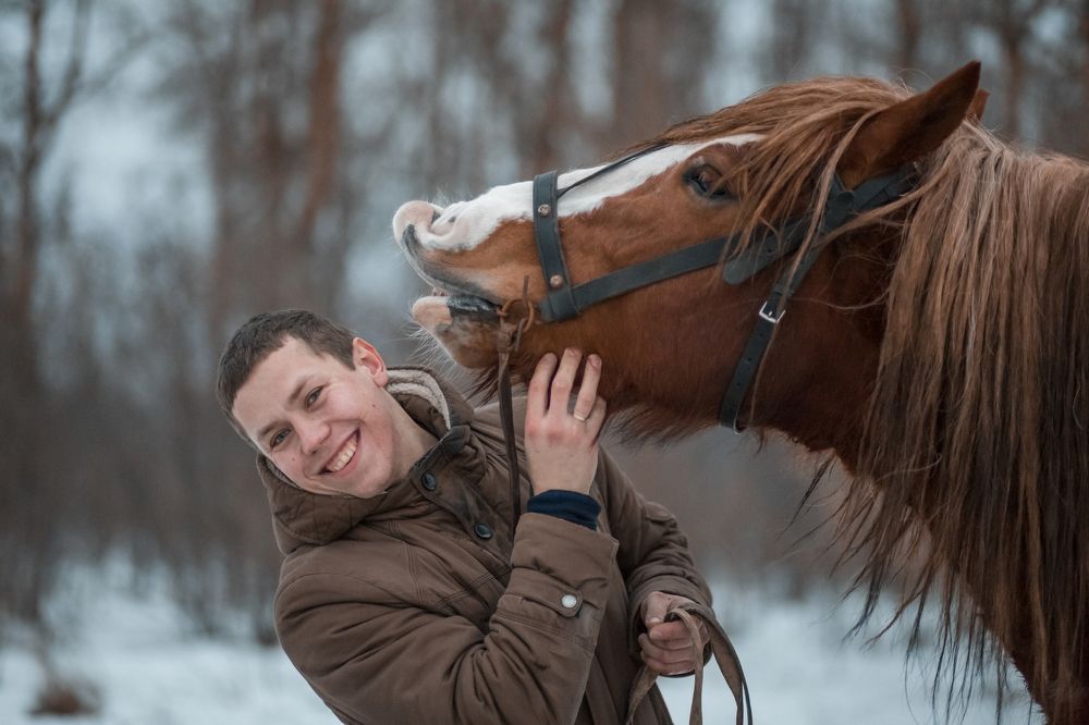 Лошадиная дружба