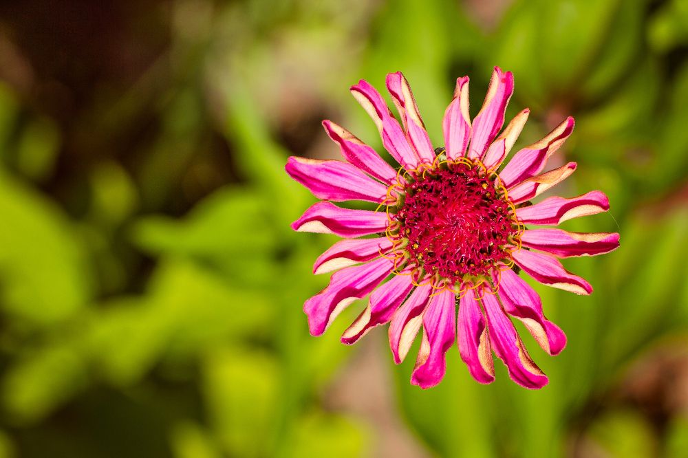 Photograph by Анна Кесарева