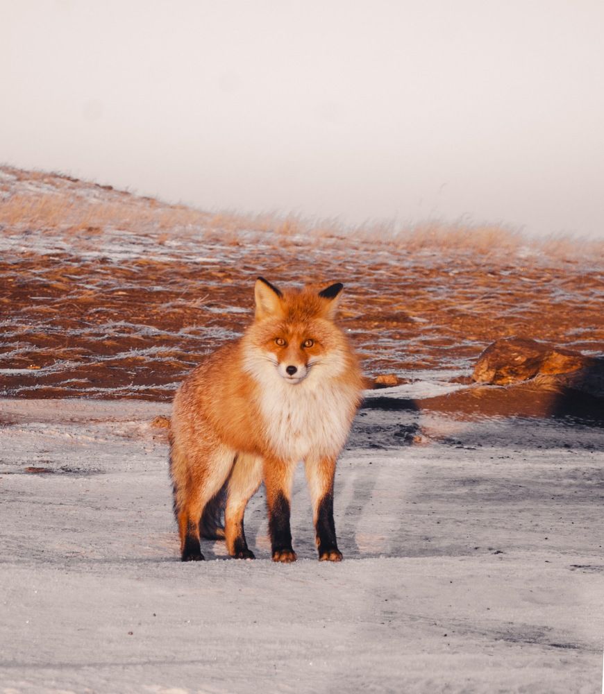 Photograph by Бадаев Антон