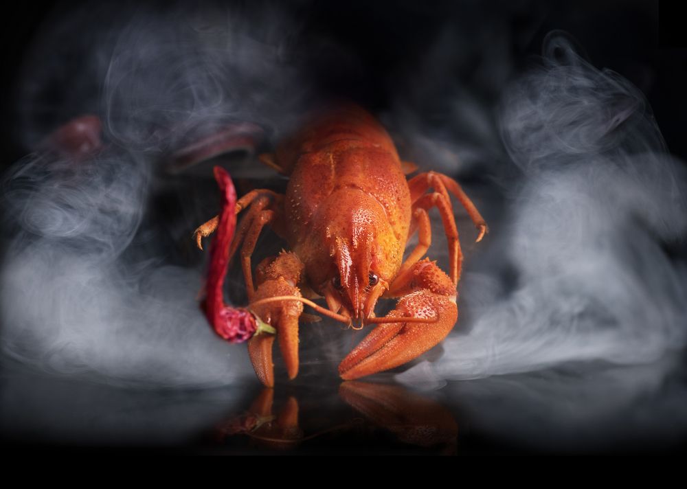 Crayfish