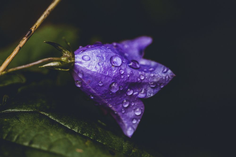 После дождя