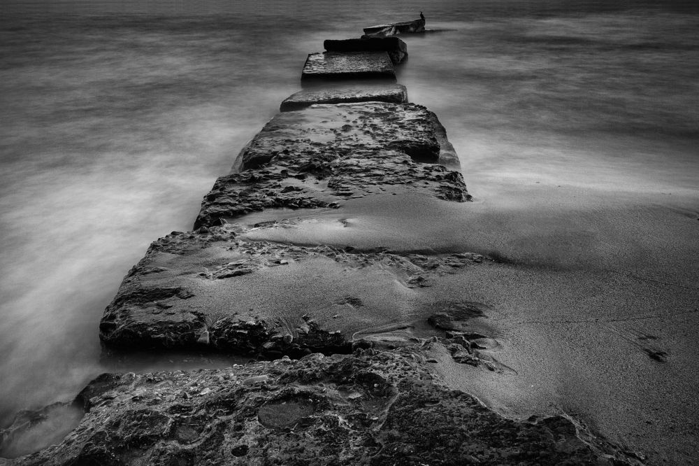 Photograph by Alexander Kalenski