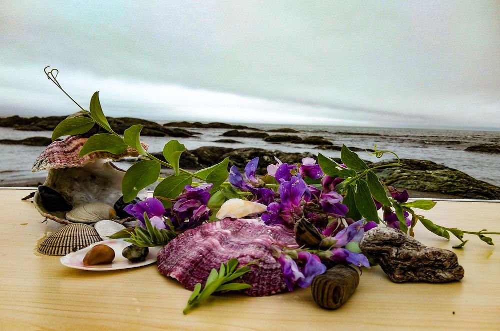 Натюрморт на берегу моря