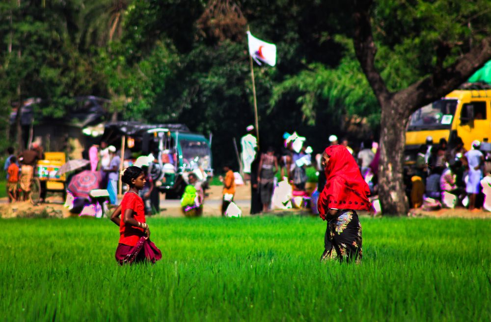 Photograph by  Mohammad Shahid