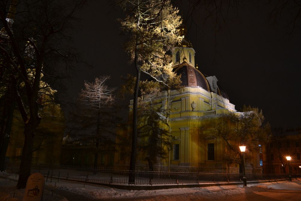 Питерская  ночь