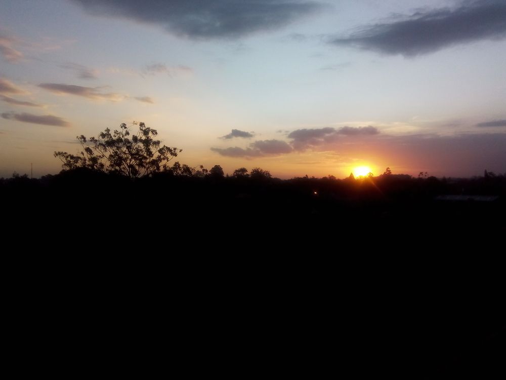 Nature