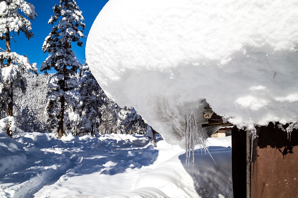 Мороз и Солнце