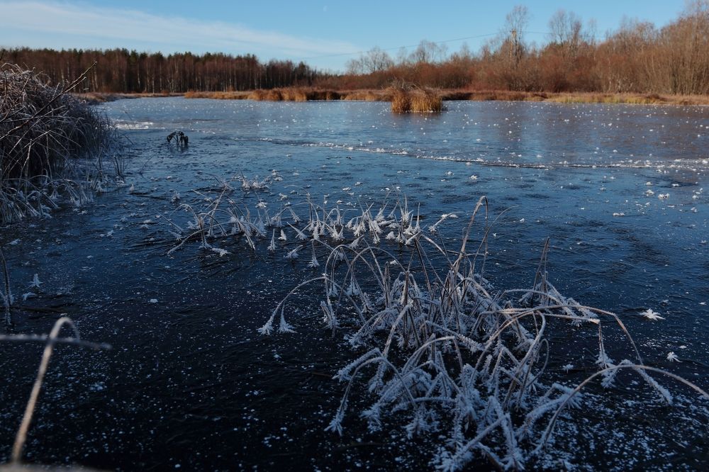 Первый заморозок