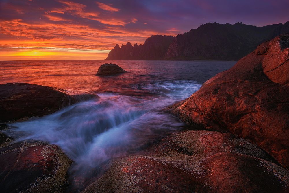 Внезапно краской озаряясь