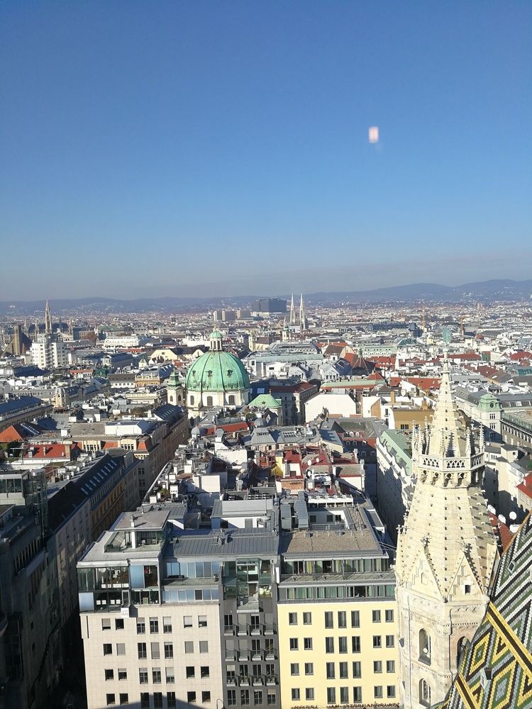 Vienna