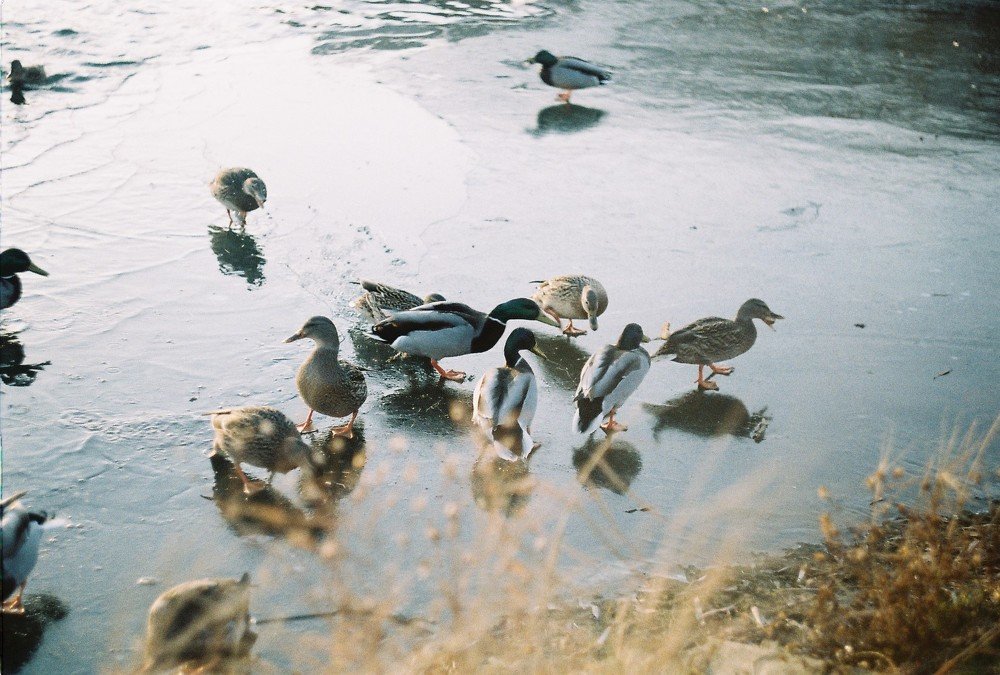 Photograph by Денис Игоревич Нестеров