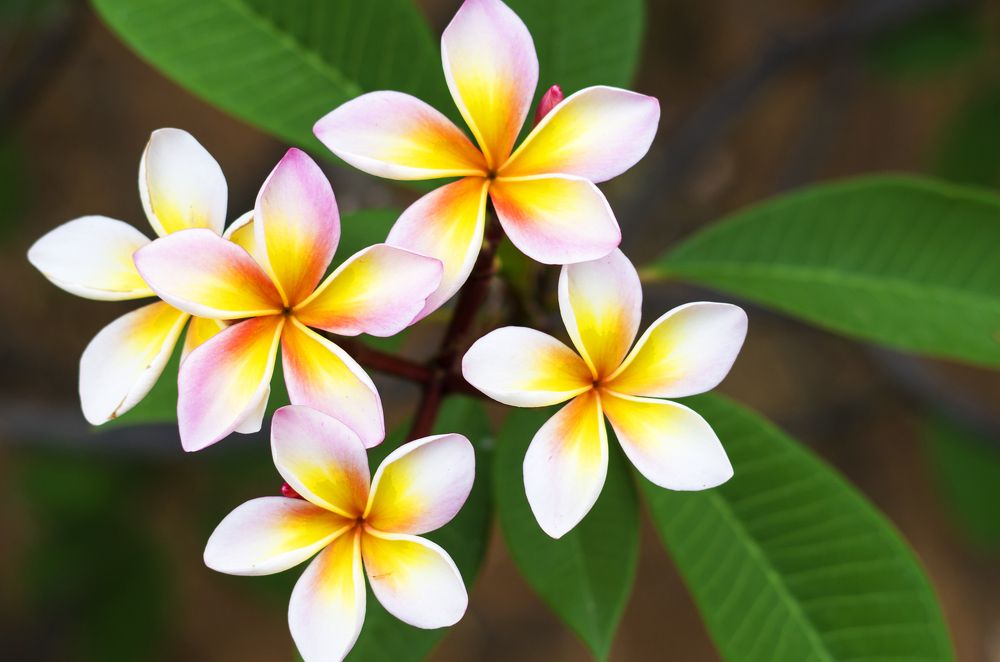 Photograph by Анна Мамаева