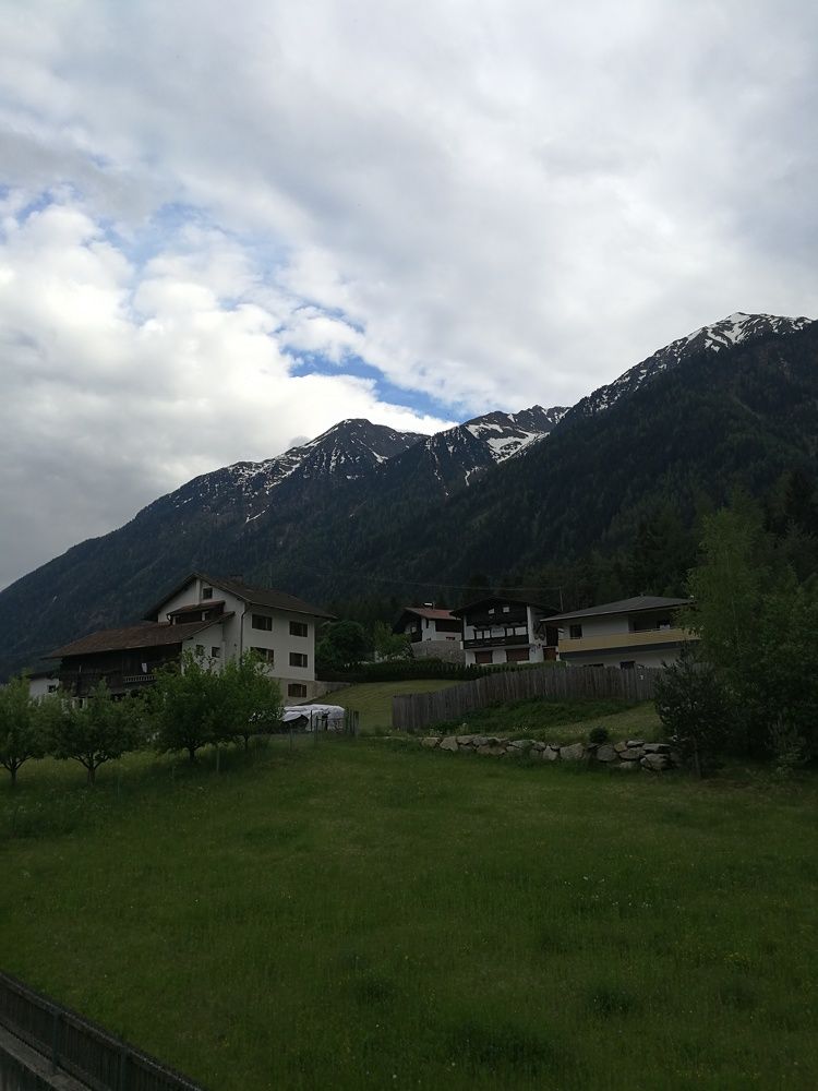 Photo #3034915