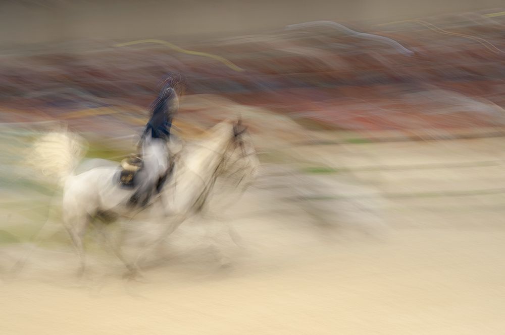 Horses in the race 3