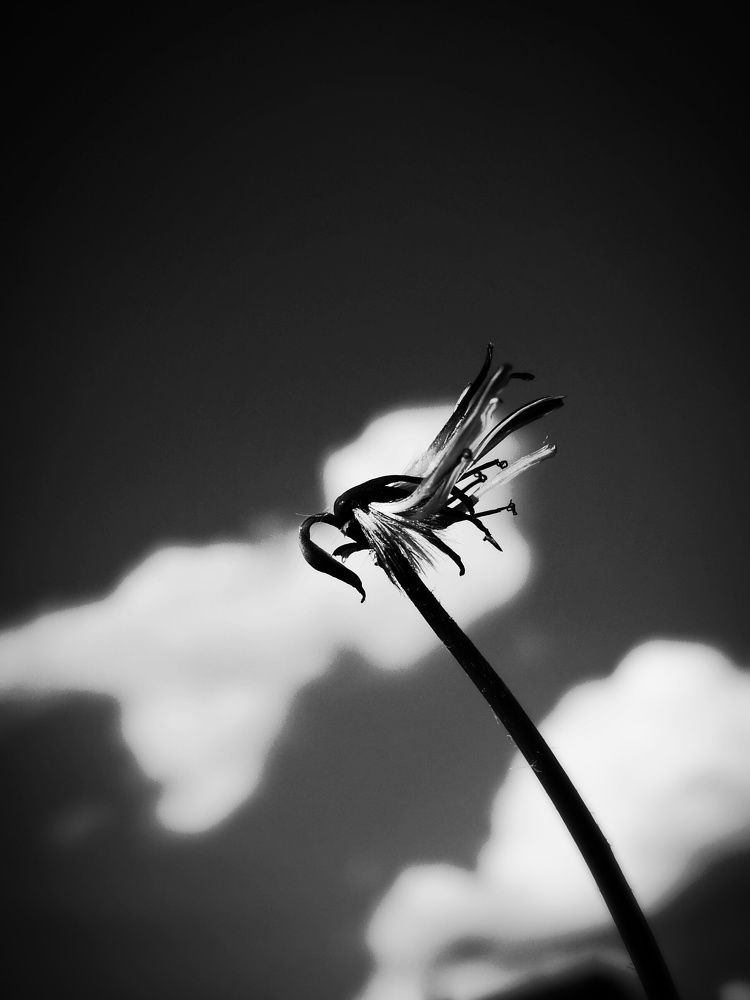 Photograph by Стефанова Татьяна