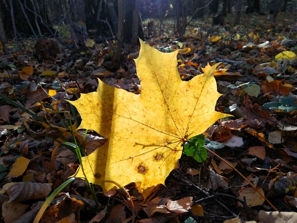 Photograph by Константин