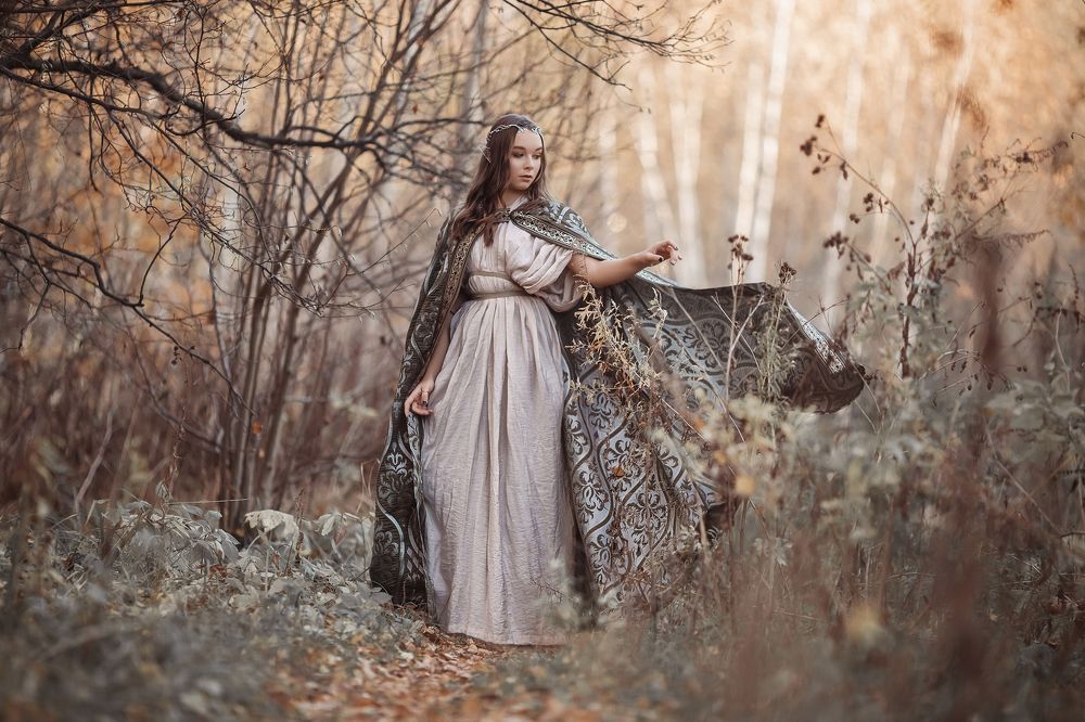 Эльфийская история