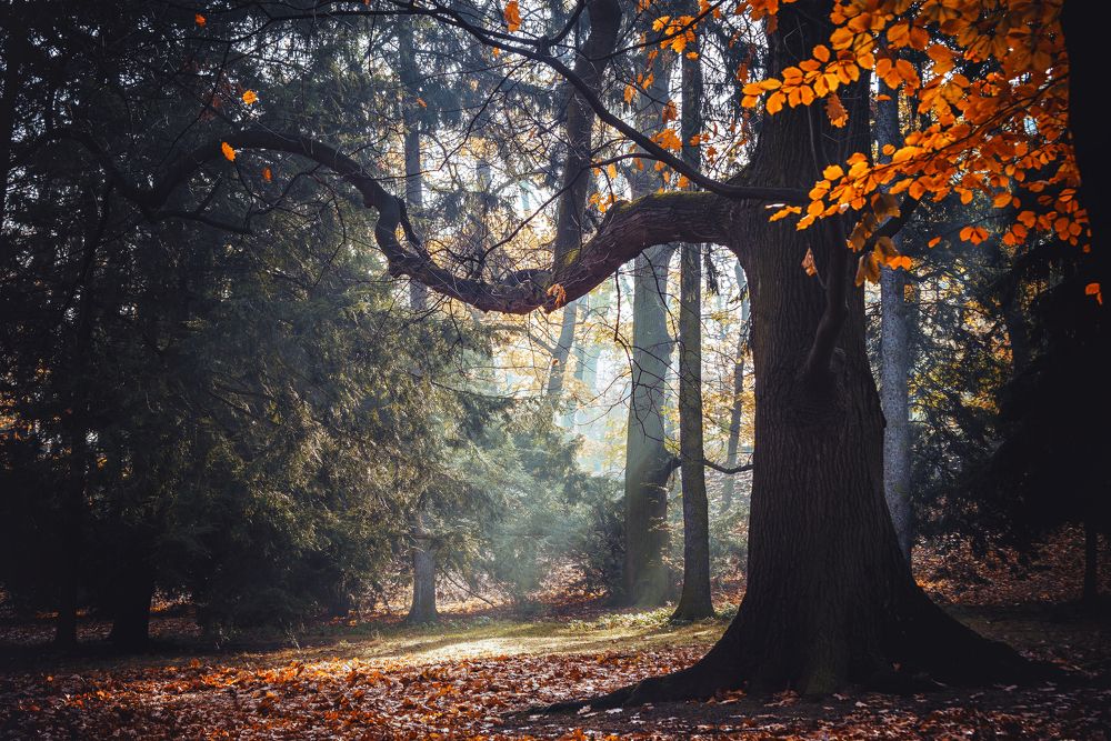 Photograph by Андрей Ожерельев