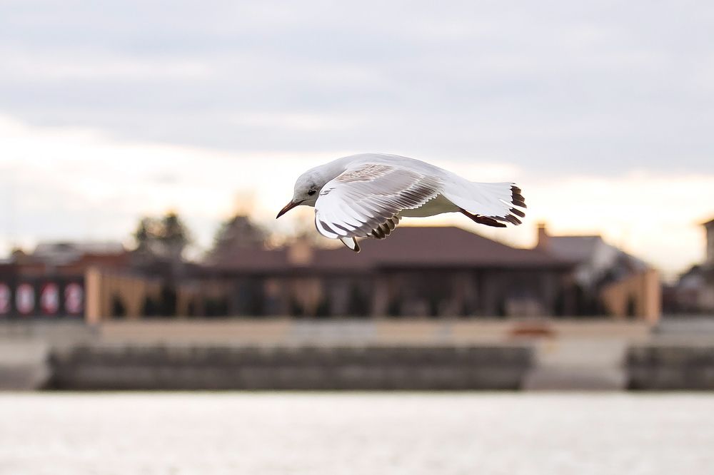 Photograph by Станислава Войцеховская