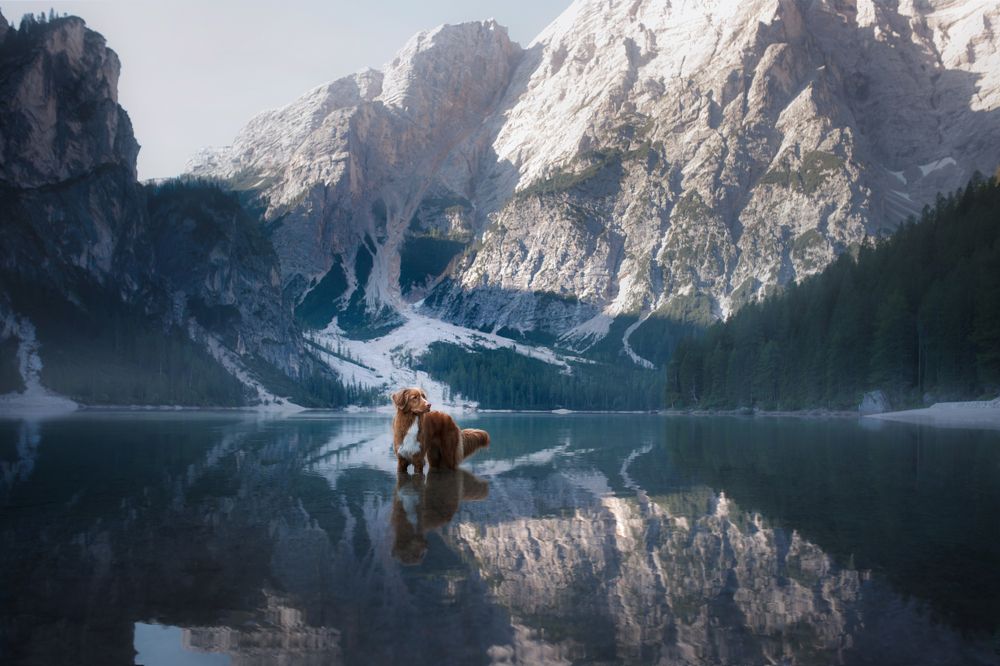 Photograph by Анна Аверьянова