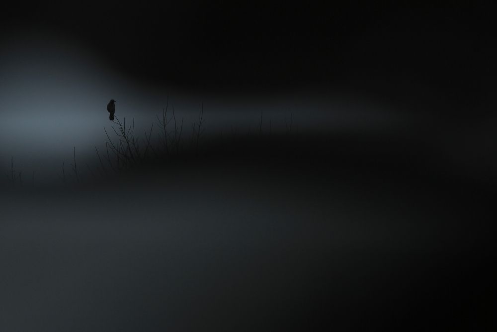 Land of the Darkness