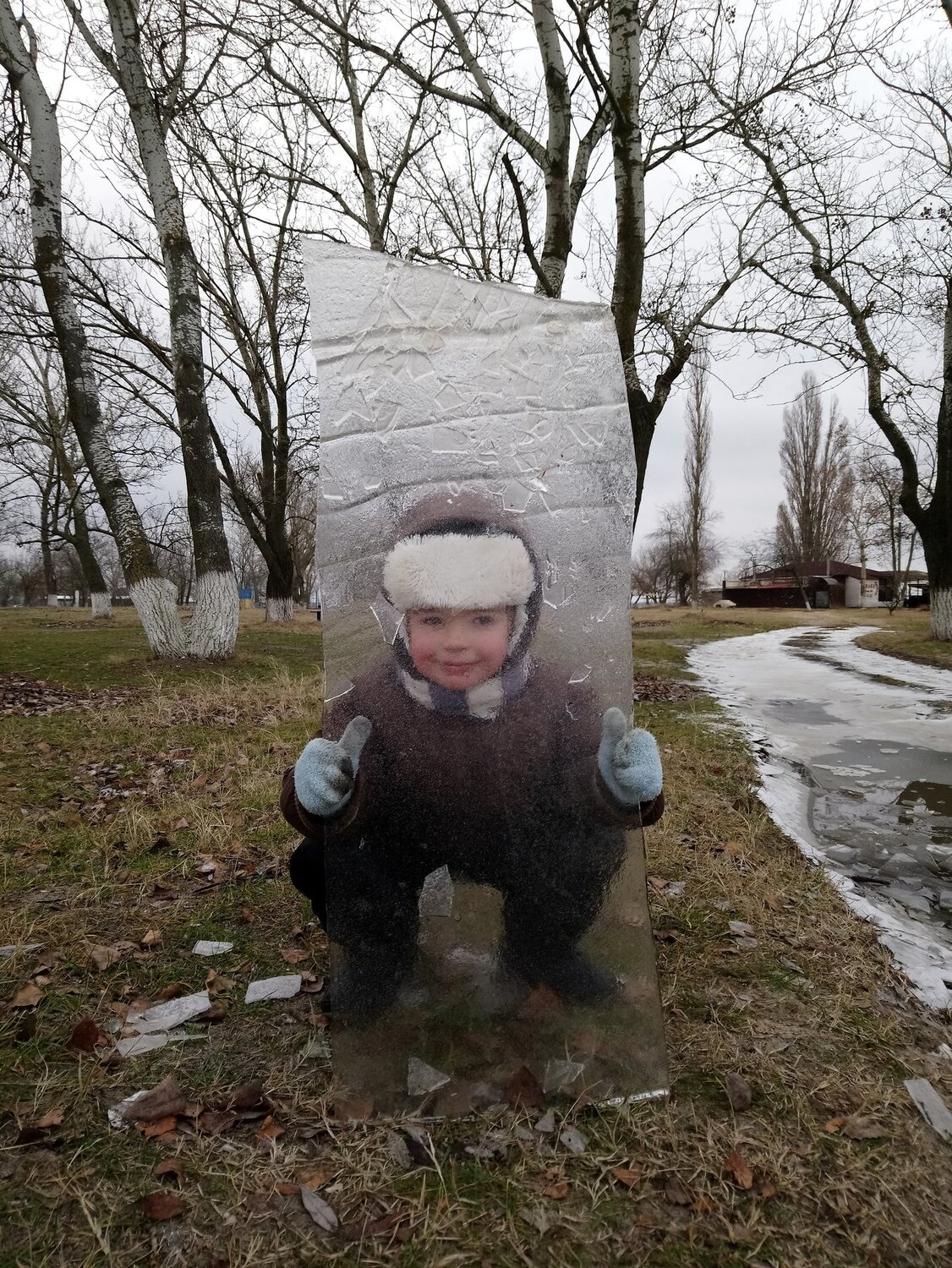 Лев и лед
