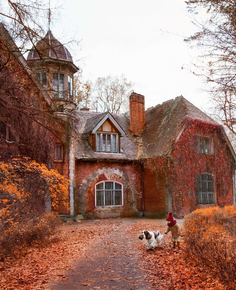 Золотая осень