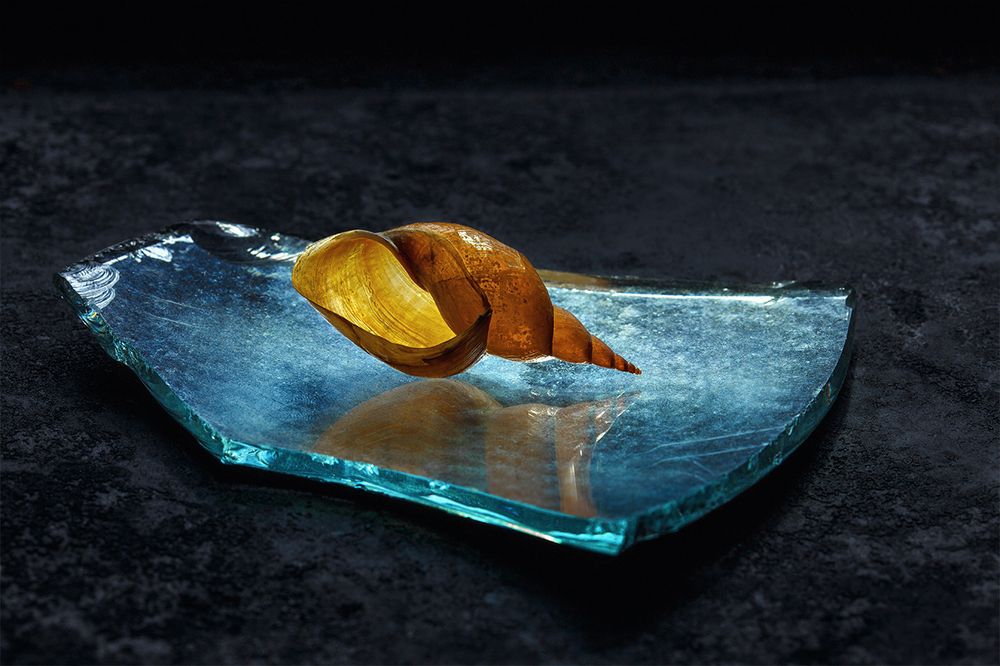 Осколок моря