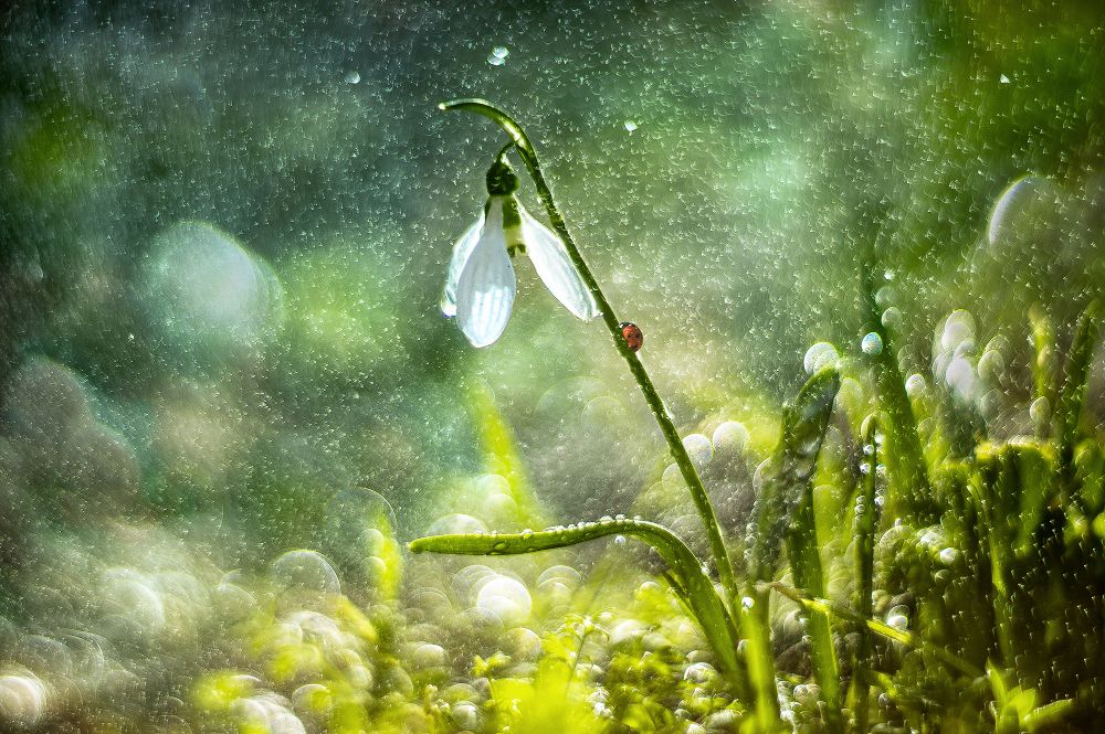 Фотография автора Marina Montale