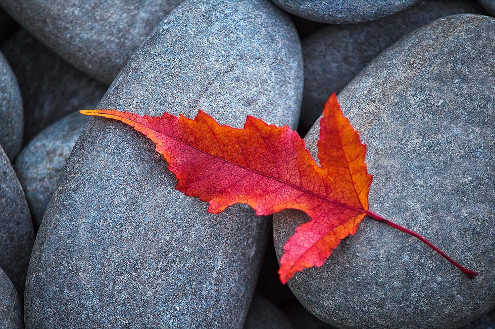 Последний самурай