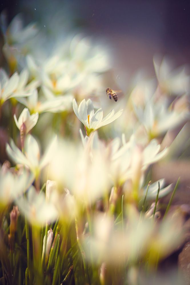 Фотография автора Marina Montale