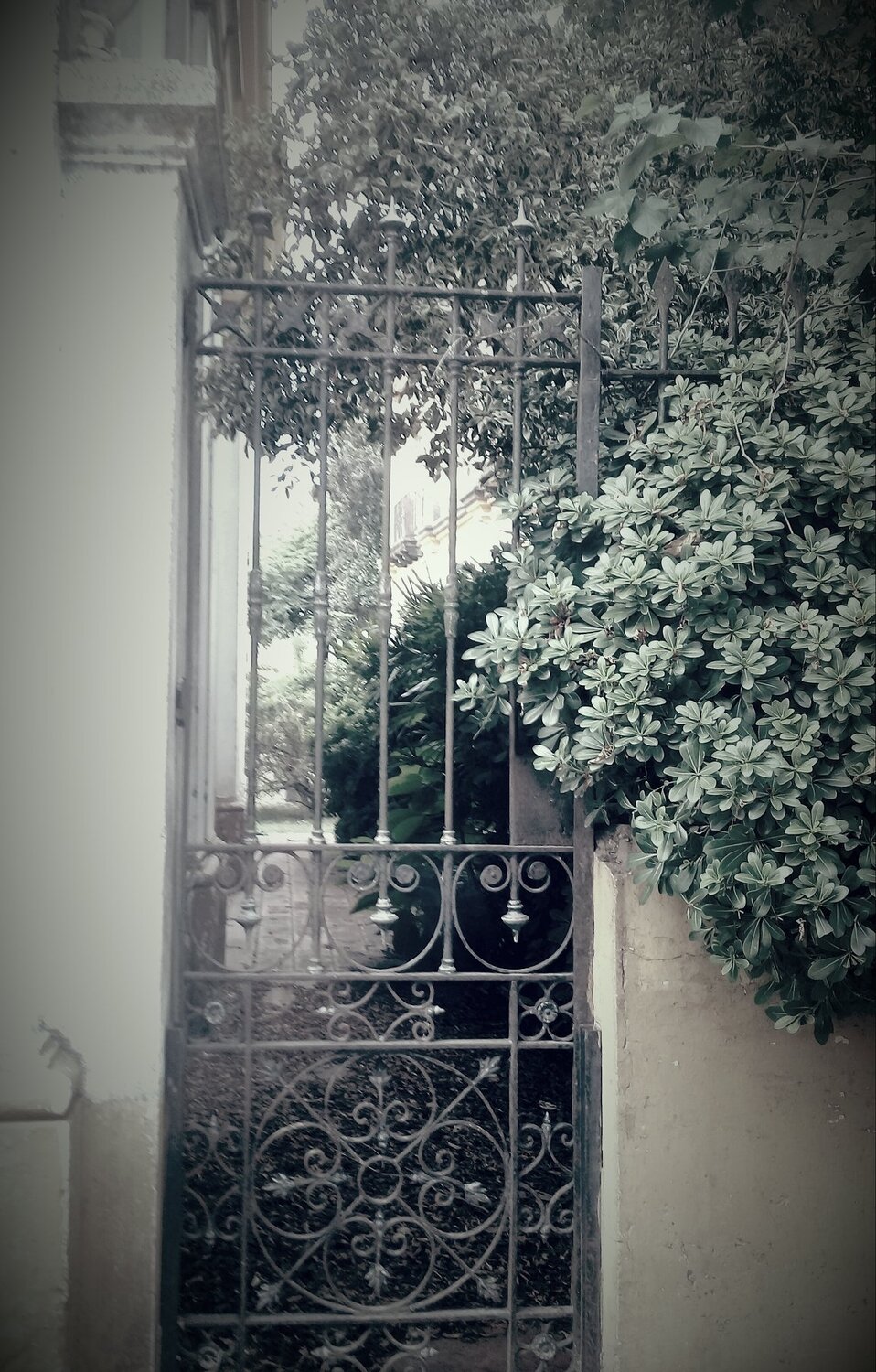 Portal al pasado
