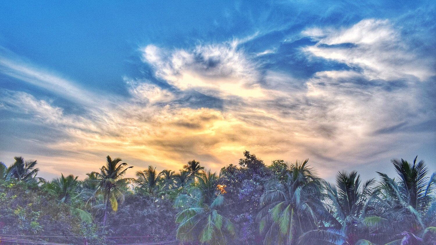 Beautiful sunset