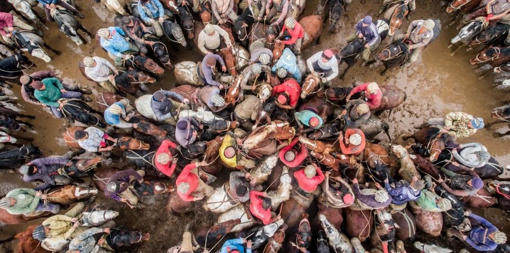 Игра Аламан (Кыргызстан)