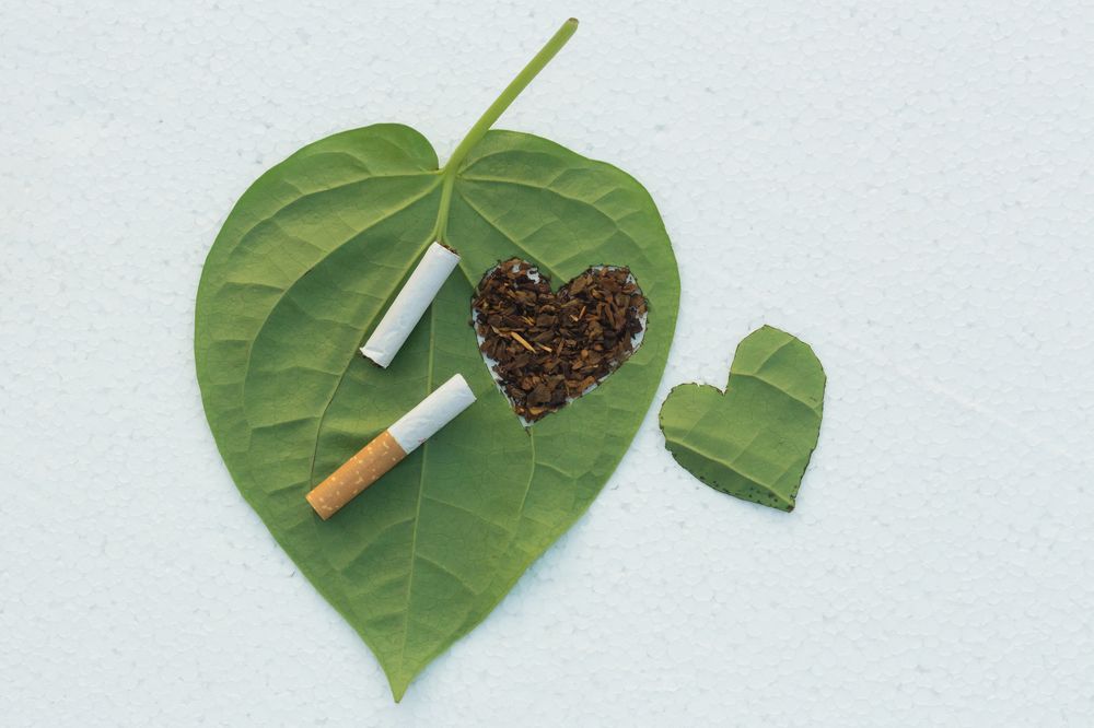 Tobacco injured Heart