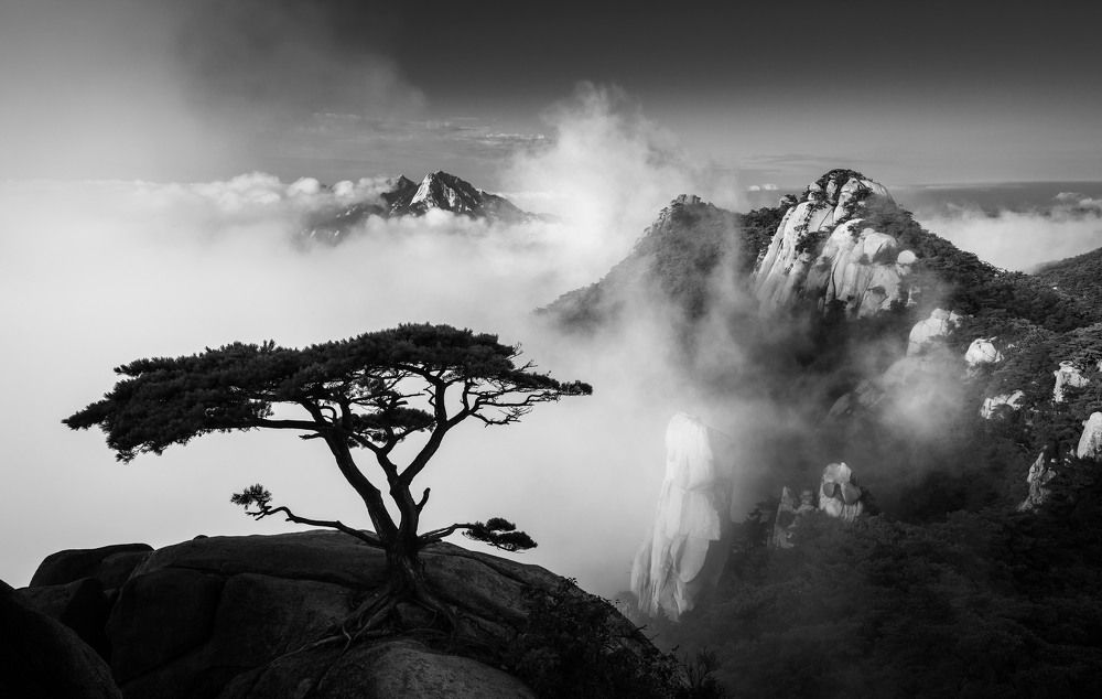 Where Mountains Float