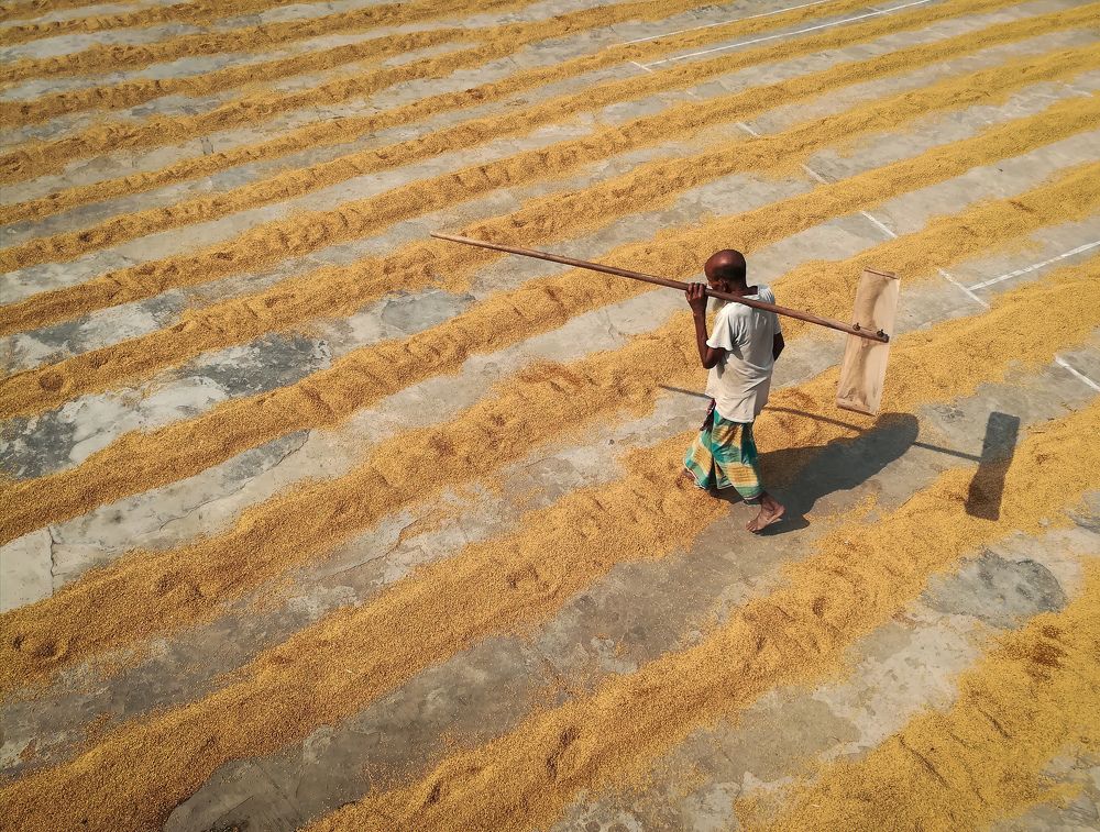 Way of livelihood