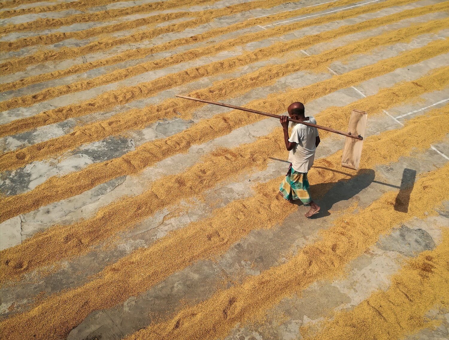 Way of livelihood