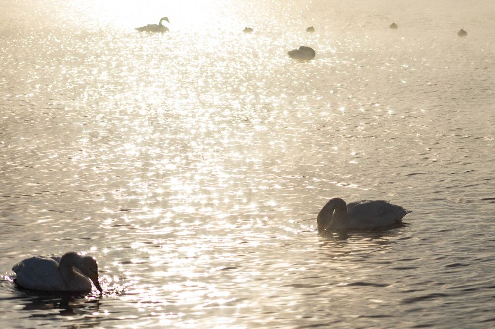 Photograph by Терентьев Георгий