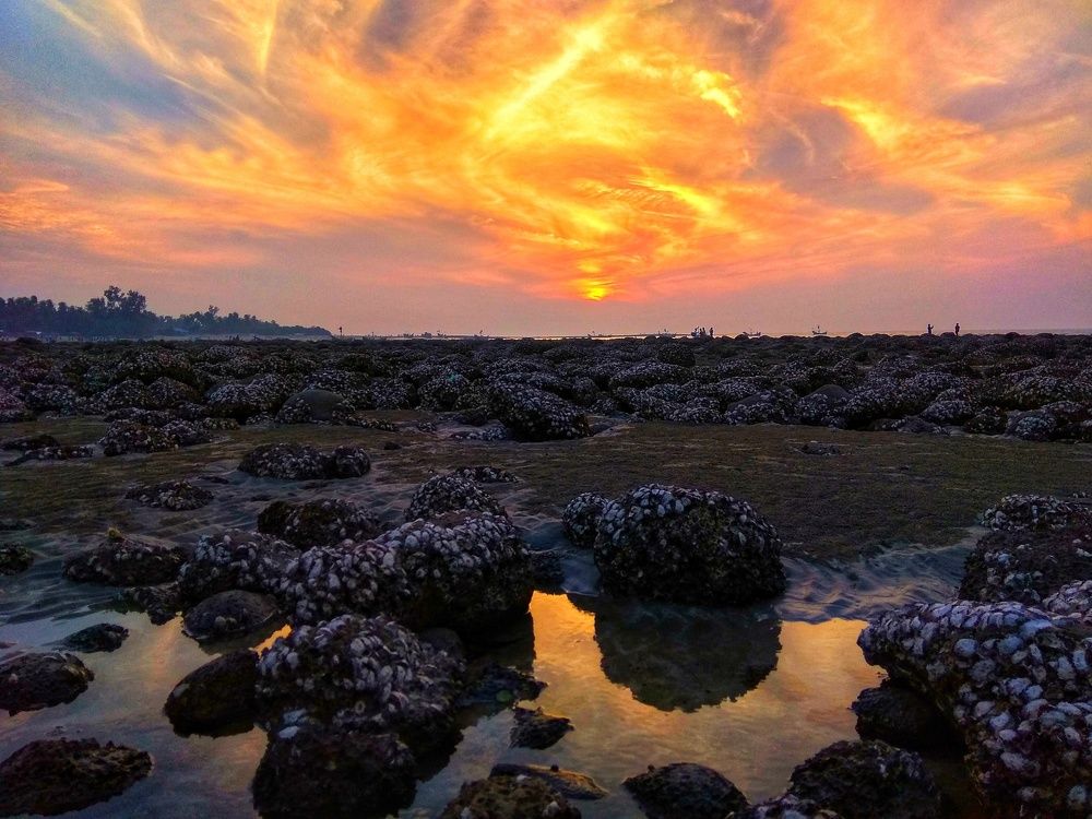 Coral Island