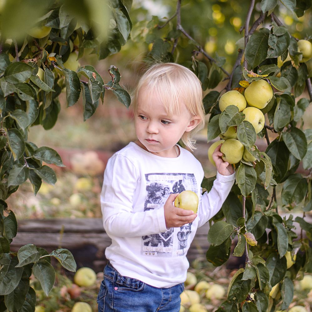 Осенние дары